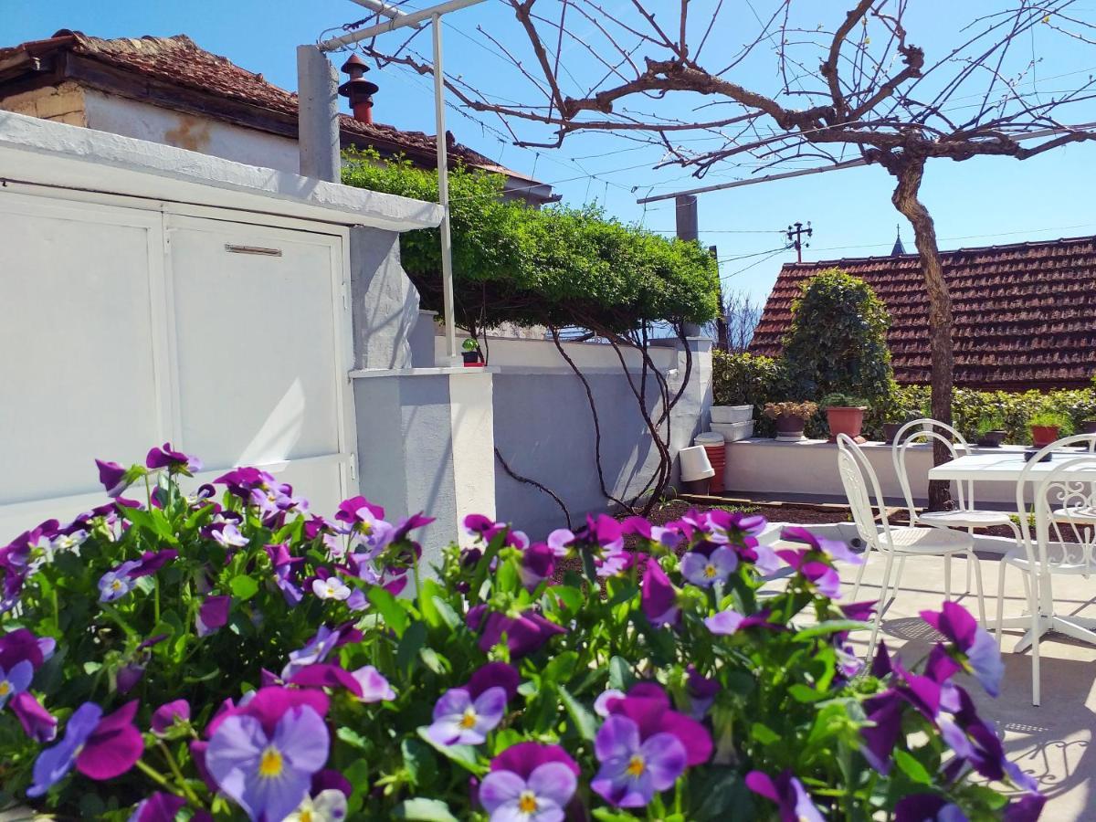Apartman Kristina Čapljina Esterno foto